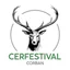 Cerfestival
